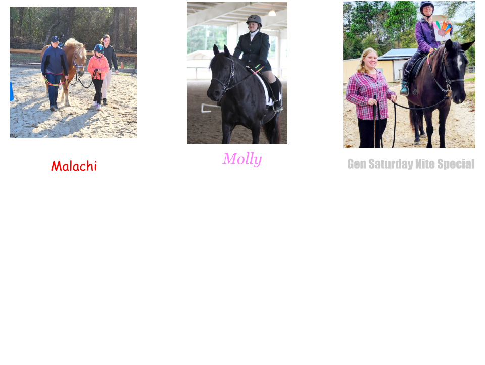 Malachi They call me Malchi.  I am a 2001 model Haflinger born in Ohio as an Amish horse. I learned to pull a cart and a little bit about riding. I was sold at an auction to an older gentleman that brought me to SC. He enjoyed driving me for a few months then sold me to Dream Riders in 2005. I am the elder at Dream Riders and bring a lot of wisdom to the program. Being that I am the shortest in the program I get to carry the smaller riders. Over the years I have shared my magic with many different people, some were afraid of me at first, some didn’t want to get off, some didn’t want to walk fast, some needed breaks to rest as they didn’t have the strength or stamina starting out to ride a walk for long periods of time. I have witnessed my riders grow in strength, stamina, self-confidence, independence and graduate on to the big horses when they outgrow me. It has been a good life; I love my job.   Molly  I am an Ohio Amish raised Percheron Cross Mare born in 2007. In 2013 I was sold to Dream Riders from the Amish community because I couldn’t plow the fields long enough or fast enough. I am very good at my job; I’m all business about giving my riders a steady ride, trotting is my favorite thing to do. I am told that I am the superstar of Dream Riders. Recently some of the riders have started competing and I am the special horse that gets to help them achieve this dream. I find it an honor to get this opportunity and am such a good girl on our outings. Independent riders are my favorite because I can really show off my talents. Dream Riders is so good to me, I have a treeless saddle that doesn’t hurt my back and I look forwards to my chiropractic visits from our special veterinarian Dr. Redmond! I am very happy at Dream Riders and love having a meaningful purpose in life!  Gen Saturday Nite Special I am better known as Pistol. I was born December 11, 2001 and came to Dream Riders in August 2023.  I am a seasoned Registered Tennessee Walking Horse with a rich past full of quality training and showing. The two years before I joined the Dream Team I was a lesson horse which prepared me for my new job as a therapuetic riding horse. I am a kind horse and love sharing my special gate with my riders.  I know just what they need to help them feel confident and successful. Not a bad job for an older gentleman. I am giving it my all!